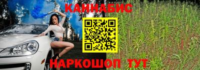 гашик Гусев