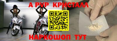 гашик Гусев