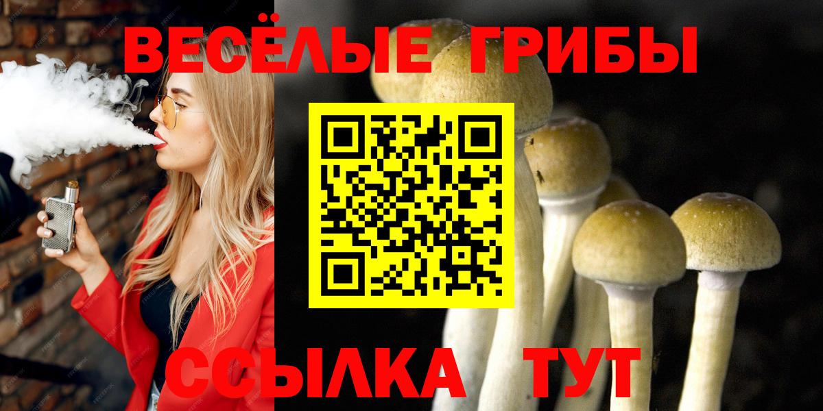 Псилоцибиновые грибы Cubensis  Псилоцибиновые грибы Cubensis  Кемерово  Вход с VPN 